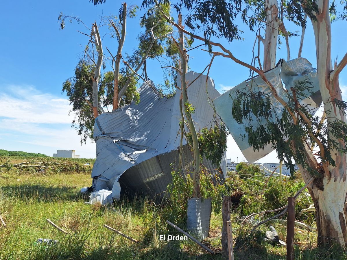 El temporal también pasó por nuestra ciudad