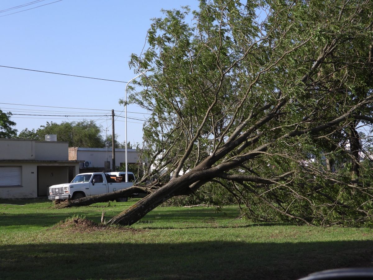El temporal también pasó por nuestra ciudad