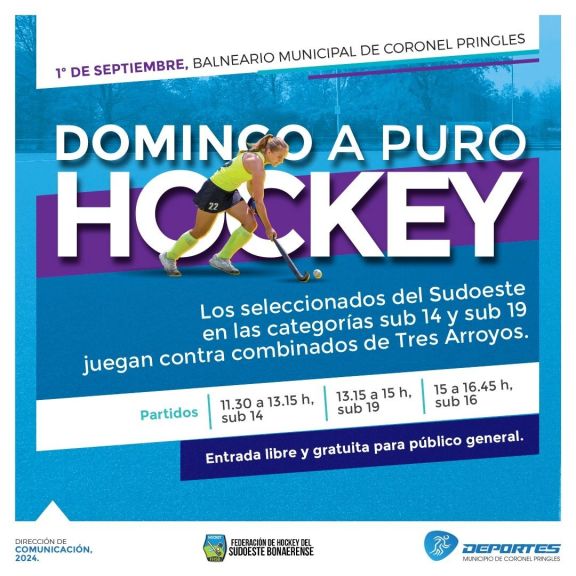 Domingo a puro hockey