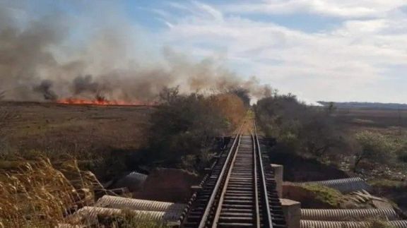 Por la chispa de un tren, Ferrosur tendrá que pagar 75 kilómetros de alambrados