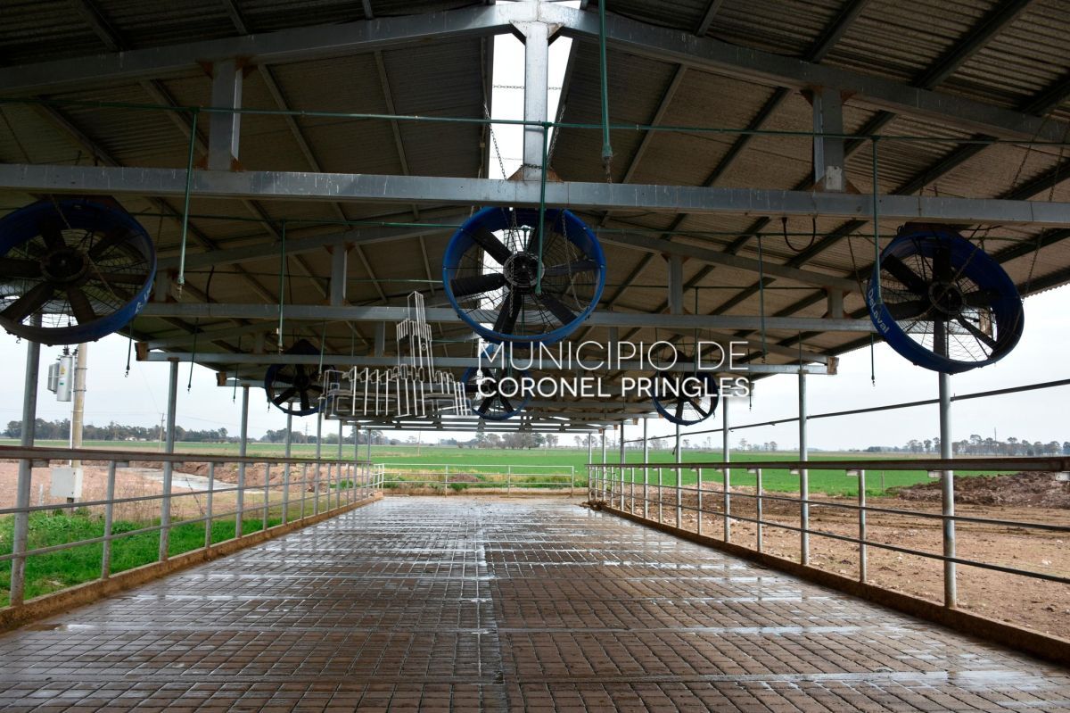 La Overa: 40 años de historia, innovación y compromiso con el desarrollo de Pringles