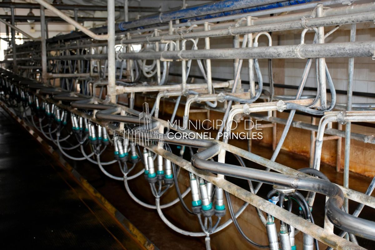 La Overa: 40 años de historia, innovación y compromiso con el desarrollo de Pringles