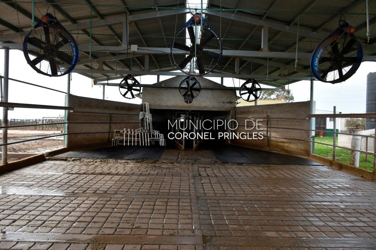 La Overa: 40 años de historia, innovación y compromiso con el desarrollo de Pringles