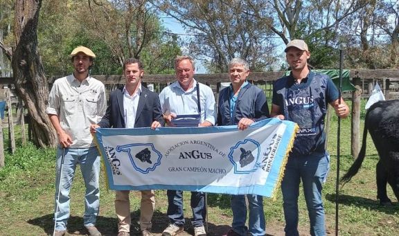 Coñue, el toro Gran Campeón Angus de la 79° Exposición Rural de Pringles