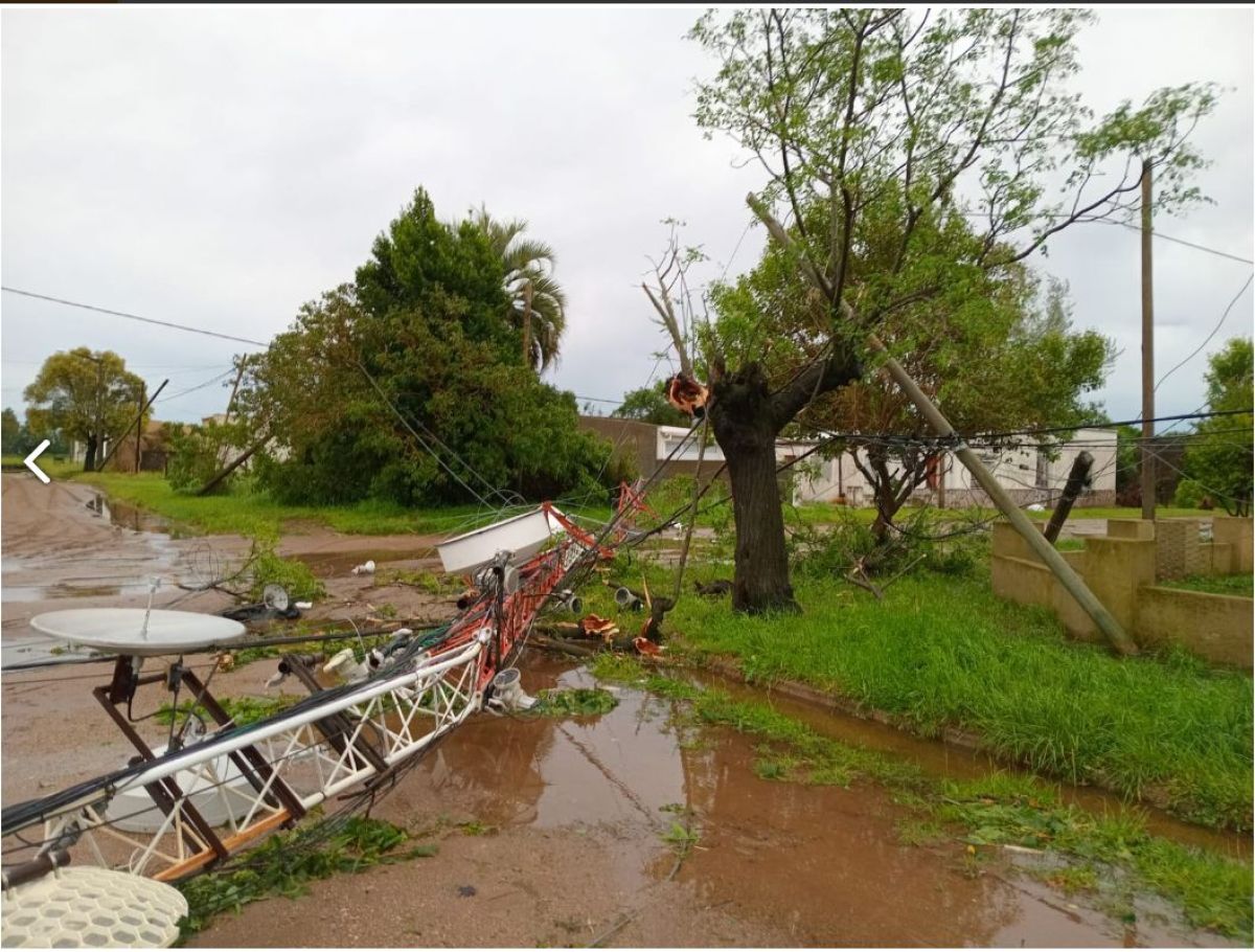 Urdampilleta: un violento temporal provocó voladura de techos, caídas de árboles y cortes de electricidad