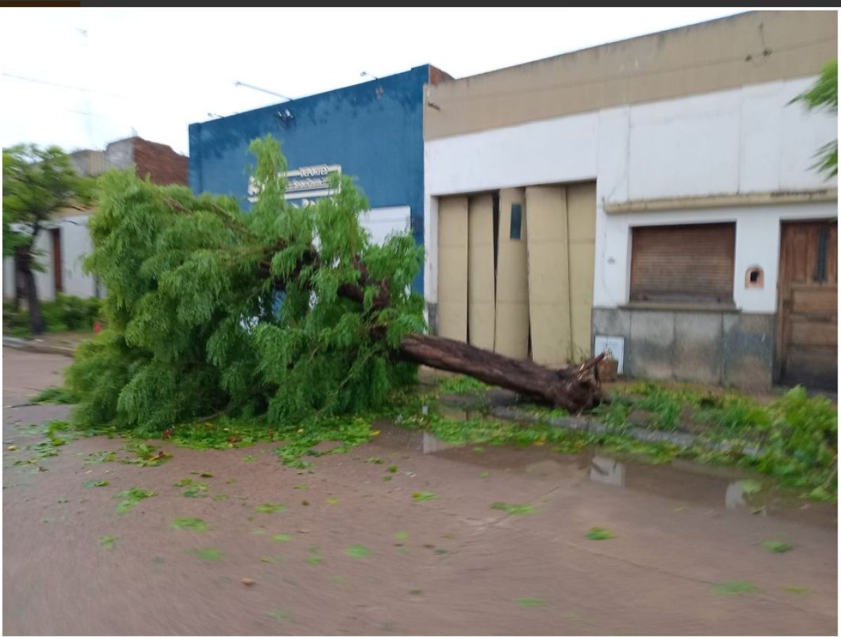 Urdampilleta: un violento temporal provocó voladura de techos, caídas de árboles y cortes de electricidad