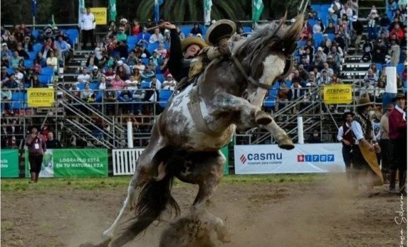 Impulsan Proyecto de Ley para proteger institucionalmente a las jineteadas