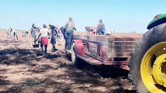 San Pedro: el 60% de los peones de un establecimiento agrícola no estaba registrado