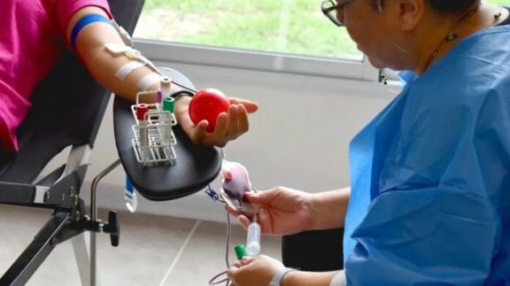 El Gobierno actualizó el sistema de donación de sangre: no más pedido de dadores de familiares