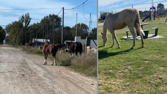 "Fue un segundo y hasta hoy no entiendo cómo sucedió"