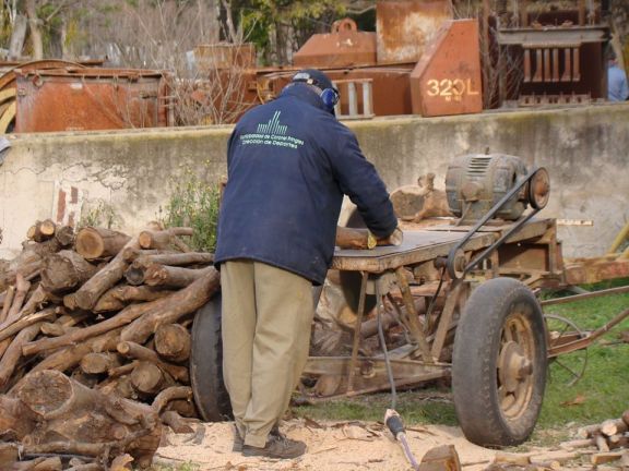 Retiro de leña en leñera: "se hace por cuestiones de logística"