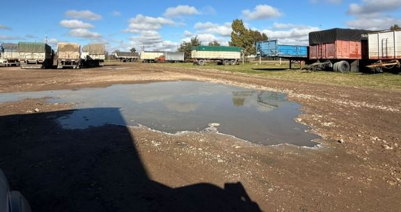 PLAYA DE CAMIONES: Exigen la urgente reparación del predio municipal por su "estado de abandono"