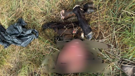 "Es doloroso ver el trabajo de uno tirado a la basura"