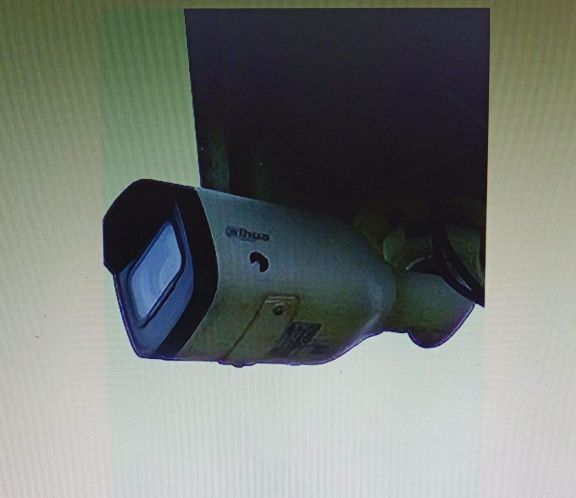 Dañaron cámaras y luminarias: secuestran un rifle y multarán a los padres