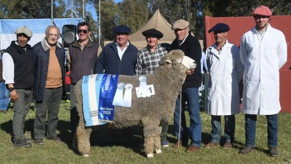 Meier Gran Campeón Corriedale -FOTo LA NUEVA 