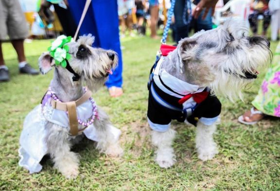 En La Rural habrá desfile de mascotas con un fin solidario