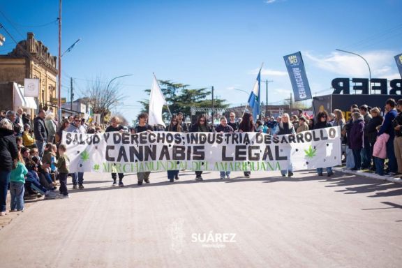 Cannabis terapéutico: "No es una solución mágica, sino una herramienta"
