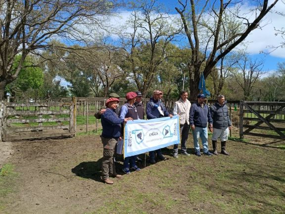 Exposición Rural: el Gran Campeón Angus fue para Aldazabal 