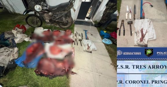 Huida y secuestro: dejaron una moto en marcha con carne de jabalí en un zanjón